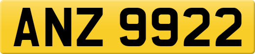 ANZ9922