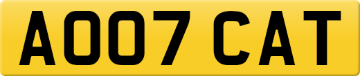 AO07CAT