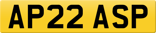 AP22ASP