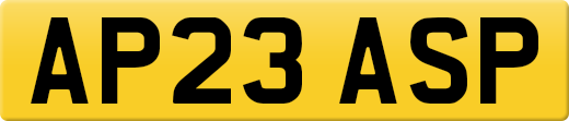AP23ASP
