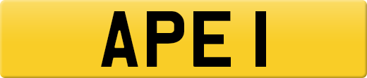 APE1