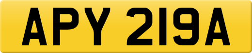 APY219A