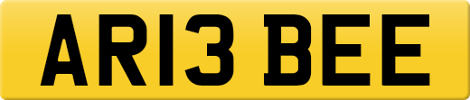 AR13BEE