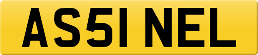 AS51NEL
