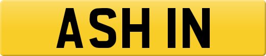 ASH1N