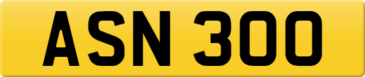 ASN300