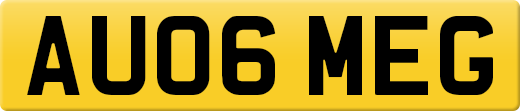 AU06MEG