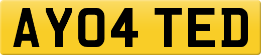 AY04TED