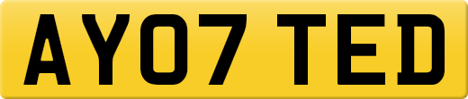AY07TED