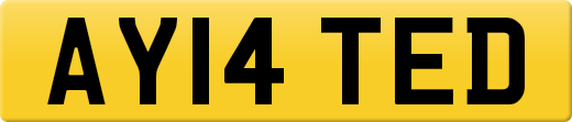 AY14TED