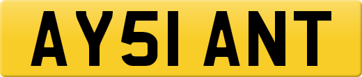 AY51ANT