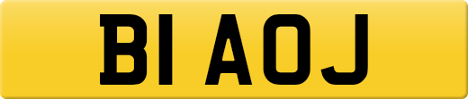 B1AOJ