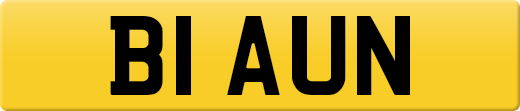 B1AUN
