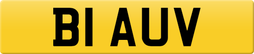 B1AUV