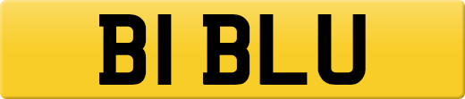 B1BLU