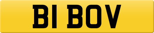 B1BOV