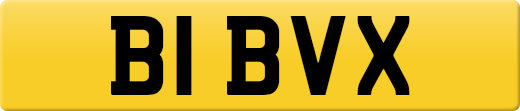 B1BVX