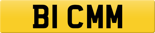 B1CMM