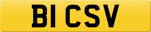 B1CSV
