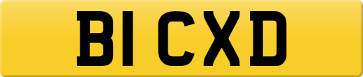 B1CXD