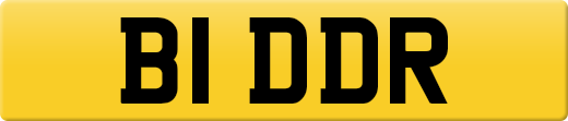 B1DDR