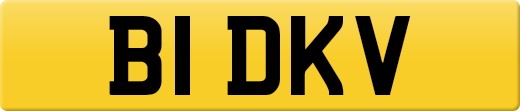 B1DKV