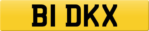 B1DKX