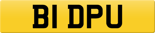 B1DPU