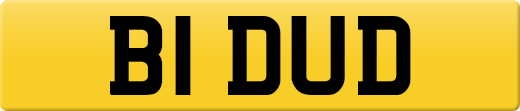 B1DUD