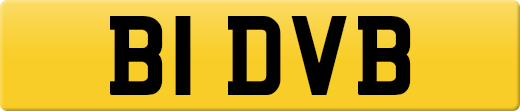 B1DVB