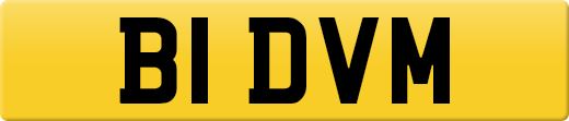 B1DVM
