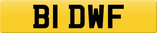B1DWF