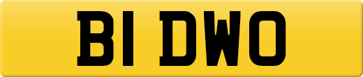 B1DWO