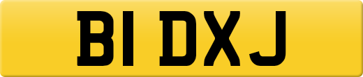 B1DXJ