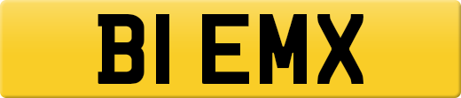 B1EMX