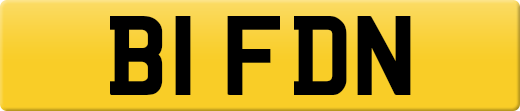 B1FDN