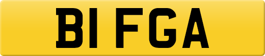 B1FGA