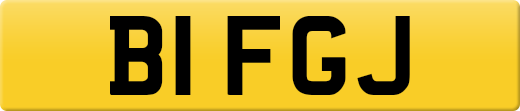 B1FGJ