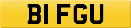 B1FGU
