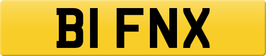 B1FNX