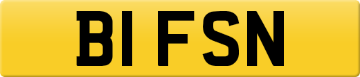 B1FSN