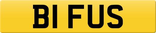 B1FUS