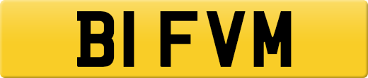 B1FVM
