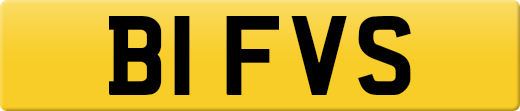 B1FVS