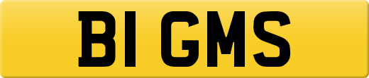 B1GMS