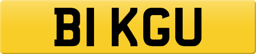 B1KGU