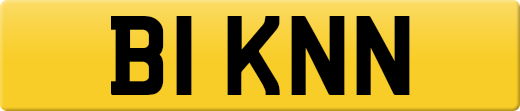 B1KNN