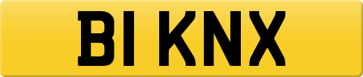 B1KNX