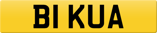 B1KUA
