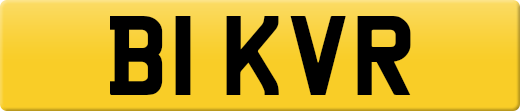 B1KVR